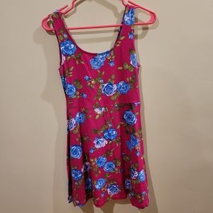 Pink and blue Forever 21 floral dress